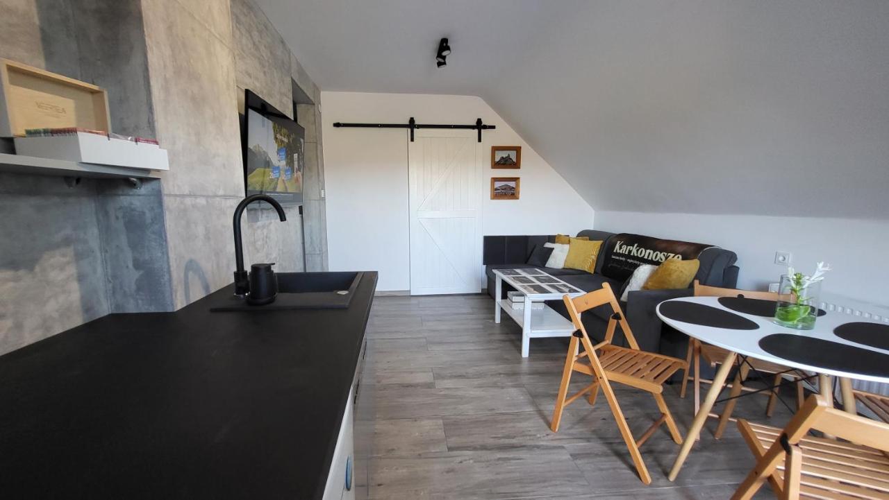 Swit - Apartament W Jezowie Sudeckim Jezow Sudecki Kültér fotó